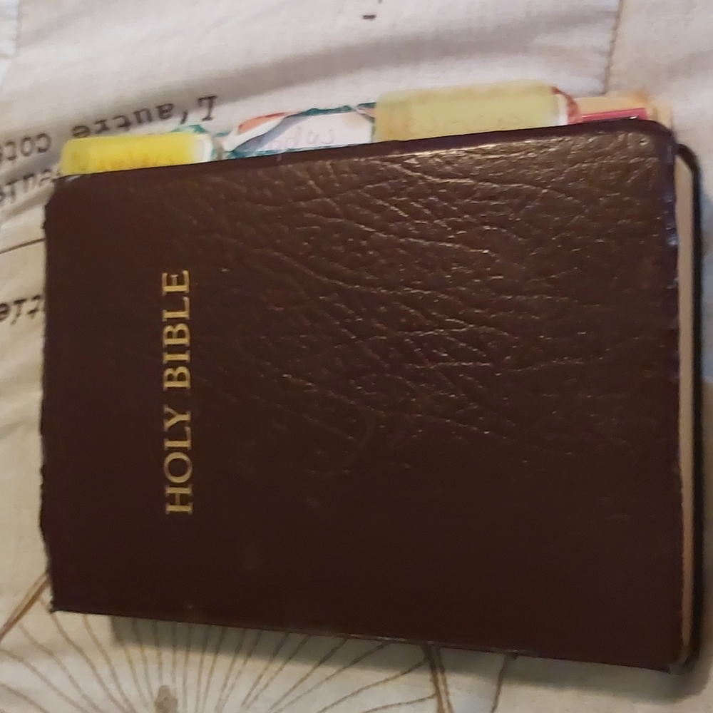 Bible book